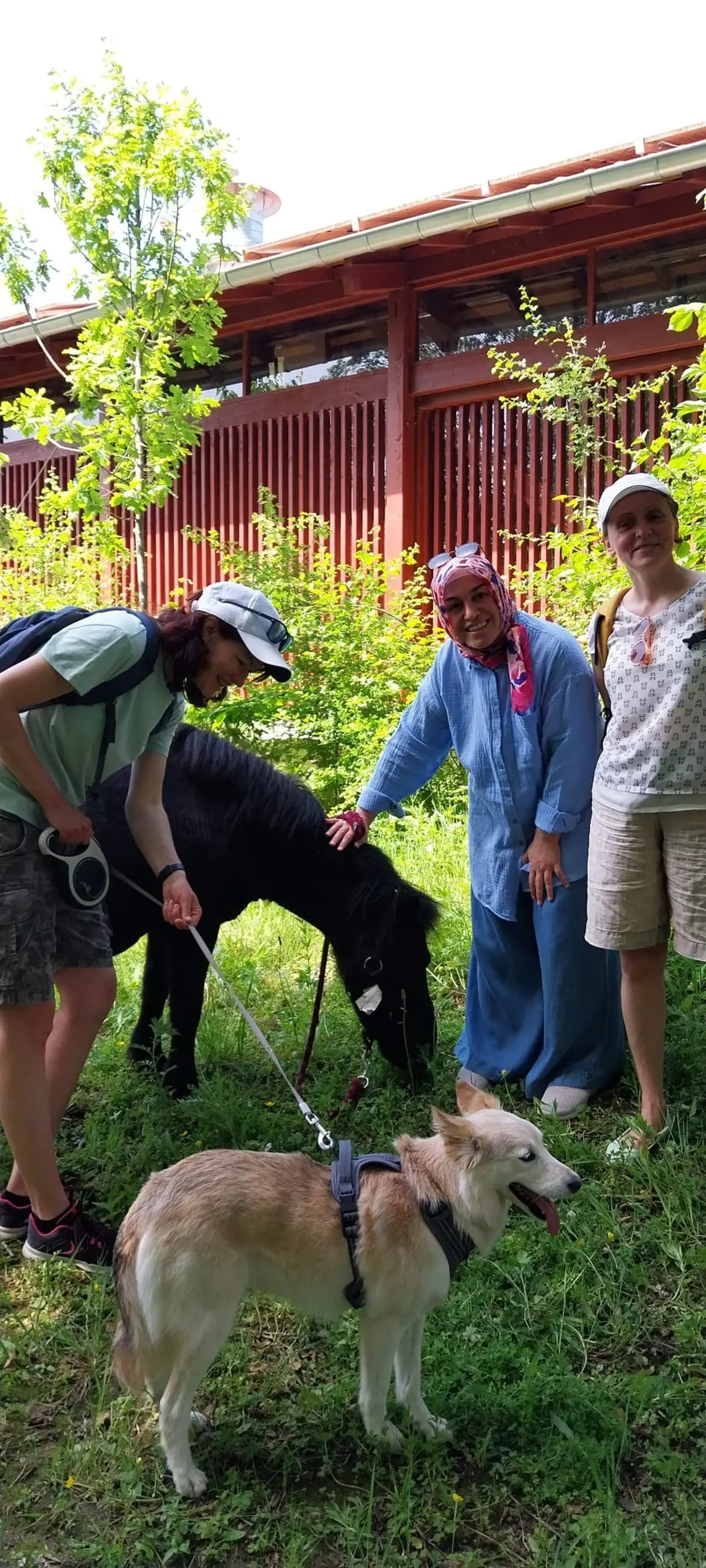 WandelMee Anderlecht 24 mei 2026 1